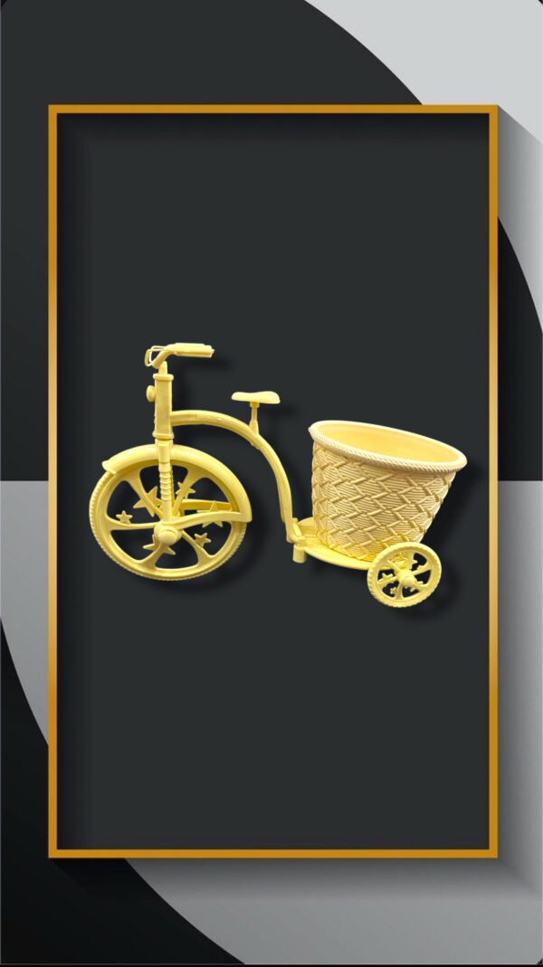 BICICLETAS CON CANASTA