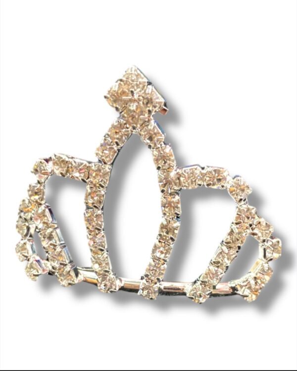 TIARA DE CORONITA