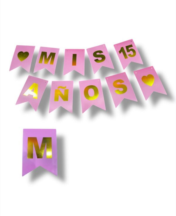 MIS 15