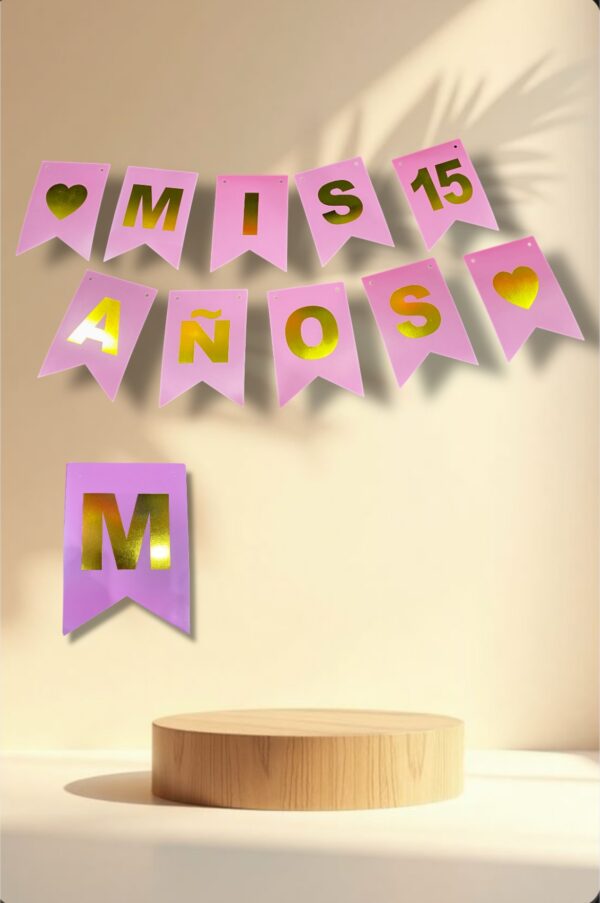 CARTEL MIS 15