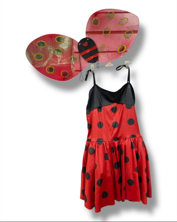 SAN ANTONIO VESTIDO