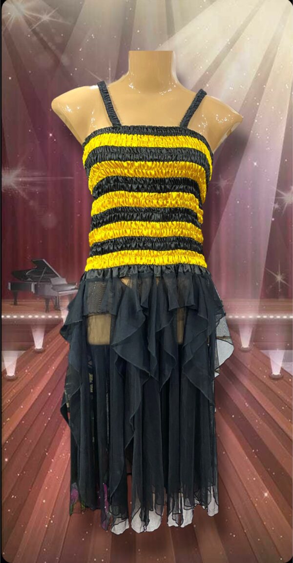 DISFRACES DAMA ABEJA