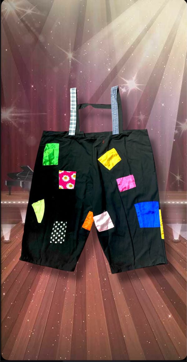 DISFRACES CABALLERO PANTALON CORTO PAYASO