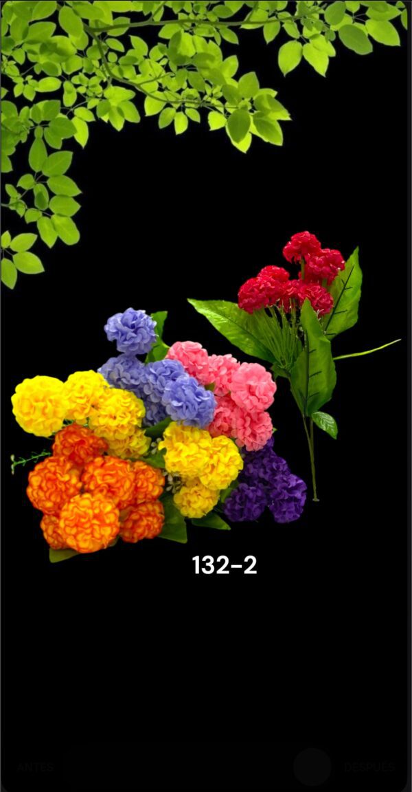 FLORES RAMO
