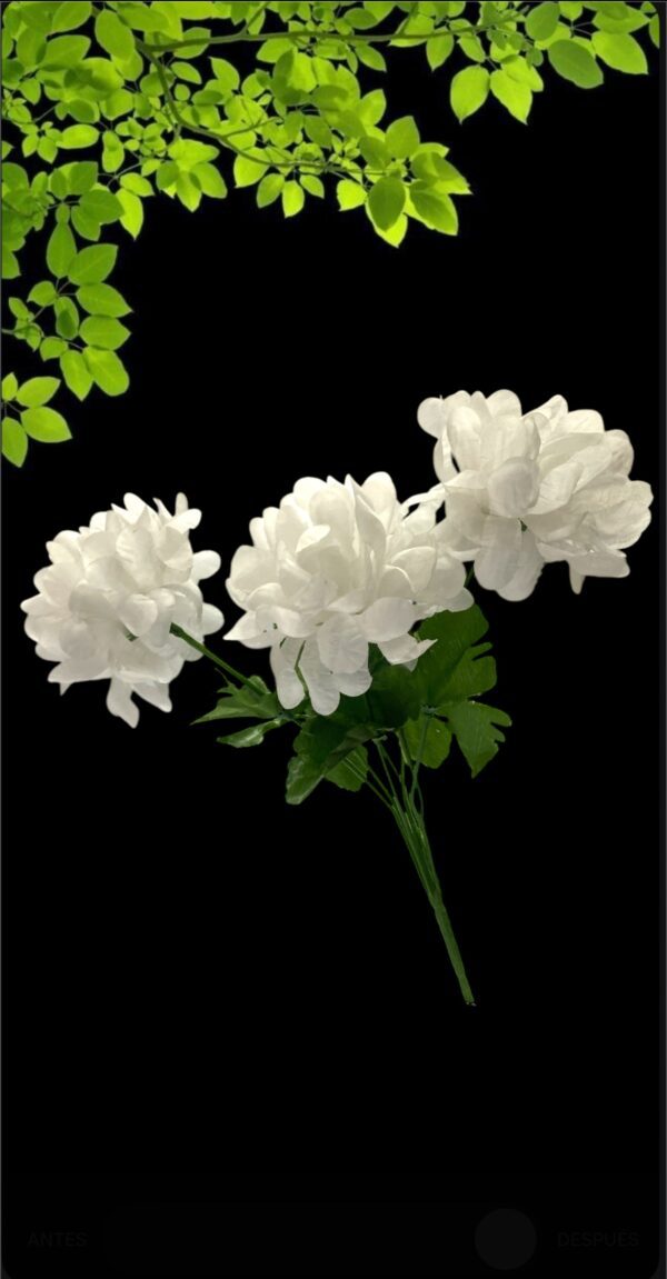 FLORES RAMO x3