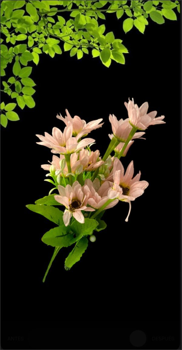 FLORES RAMO