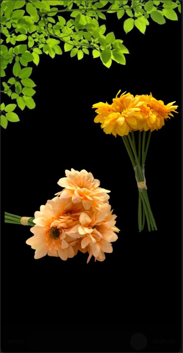 FLORES RAMO