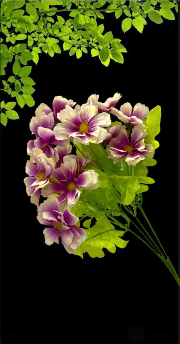 FLORES RAMO