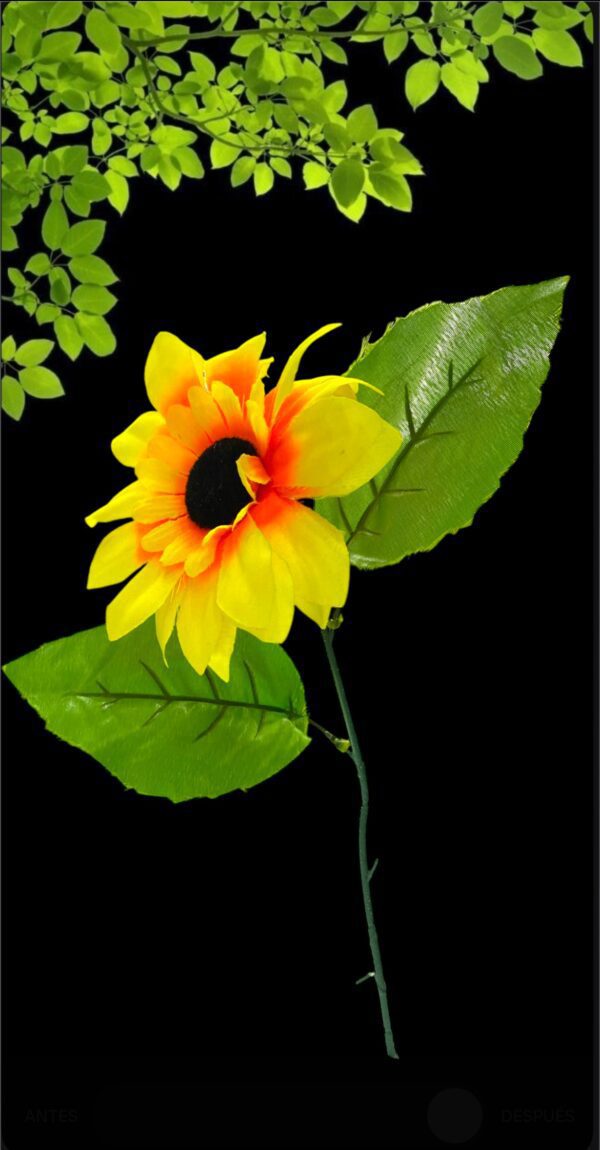 FLORES GIRASOL GRANDE X1