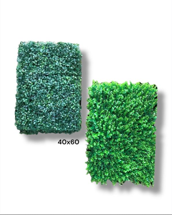 PLANCHA PASTO 60x40