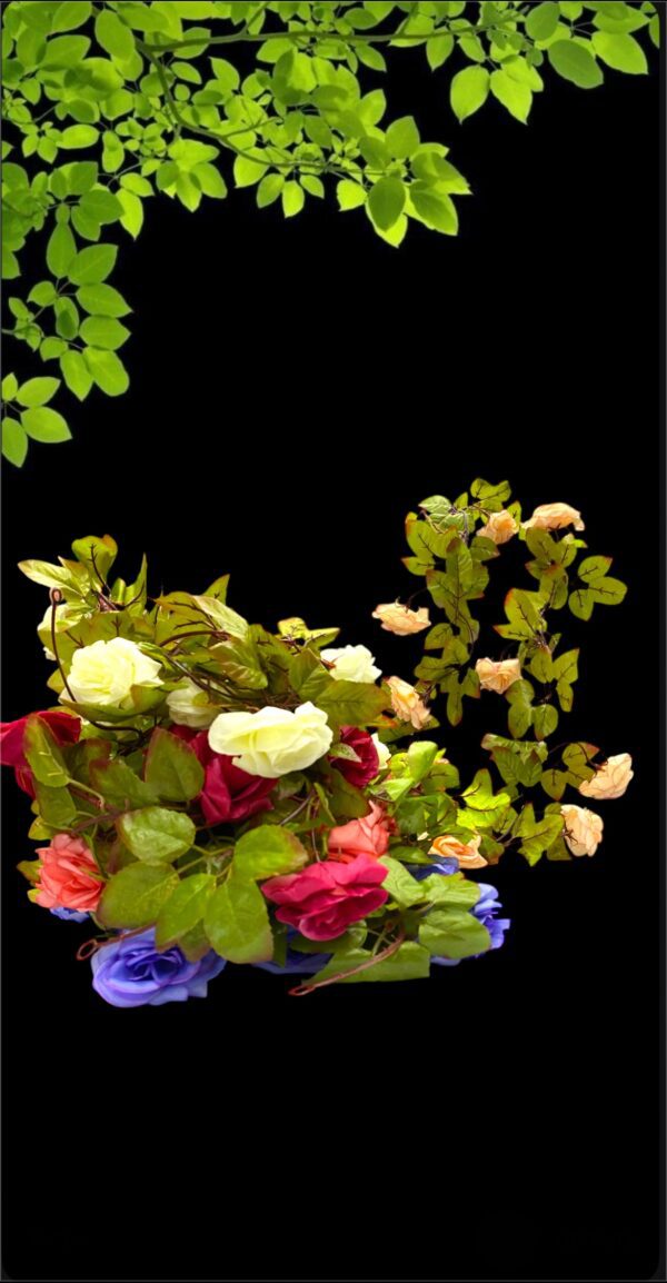 FLORES GUIAS DE ROSAS