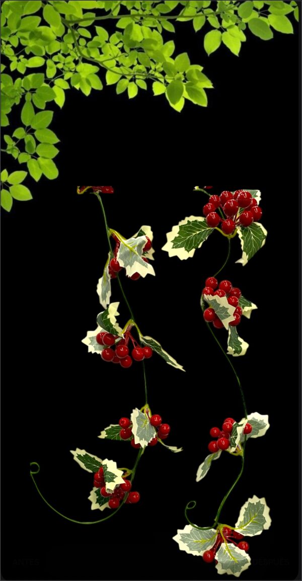 FLORES GUIA DE CEREZAS