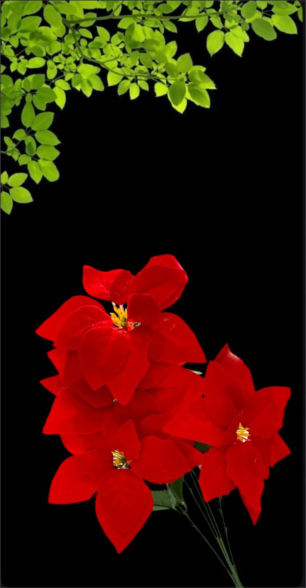 FLORES RAMITO x3