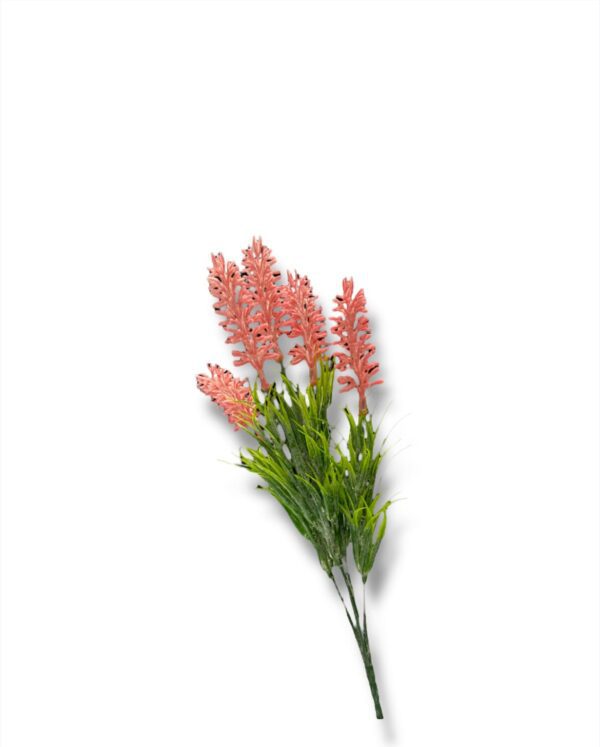 RAMITO PLANTITA