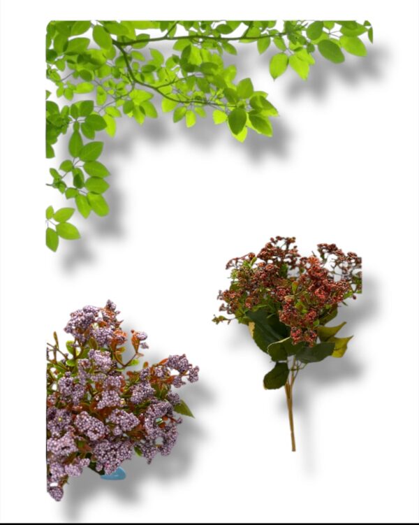 RAMO MINI PELOTITAS
