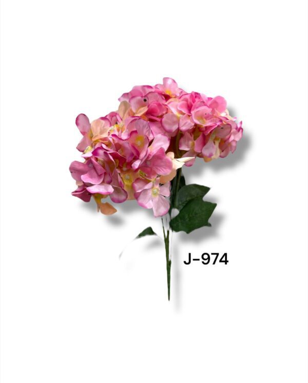 RAMO ROSADAS