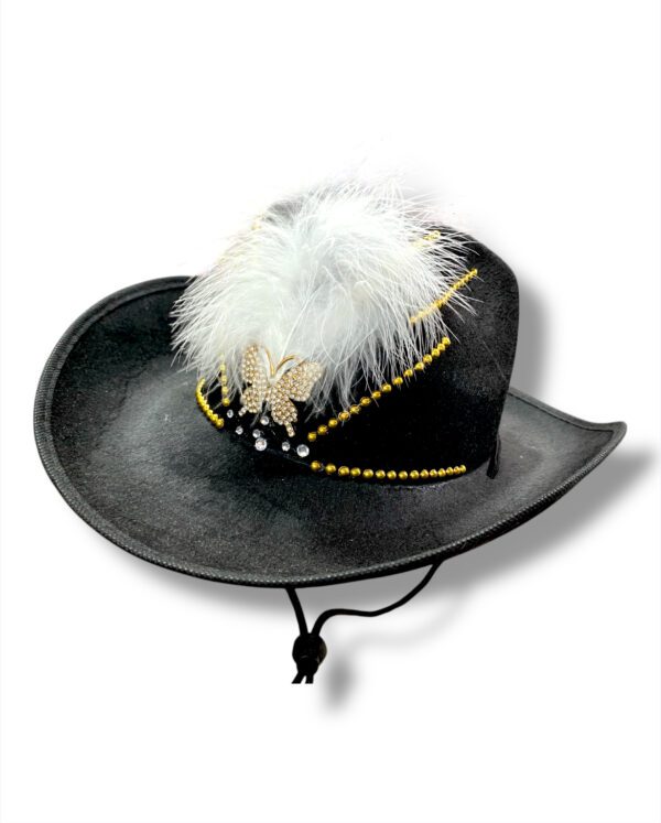 ESTILO COWBOY CON DISEÑOS - Imagen 13