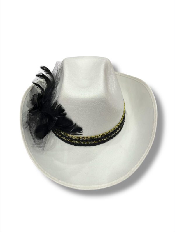 ESTILO COWBOY CON DISEÑOS - Imagen 5