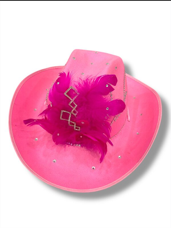 ESTILO COWBOY CON DISEÑOS - Imagen 6