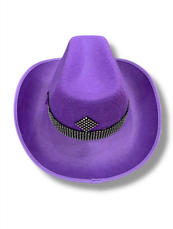 ESTILO COWBOY CON DISEÑOS - Imagen 8