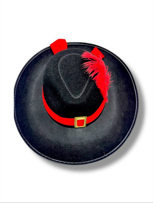 ESTILO DEL ZORRO CON PLUMA - Imagen 2