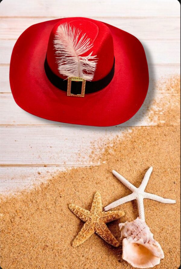 GORRO CON PLUMA