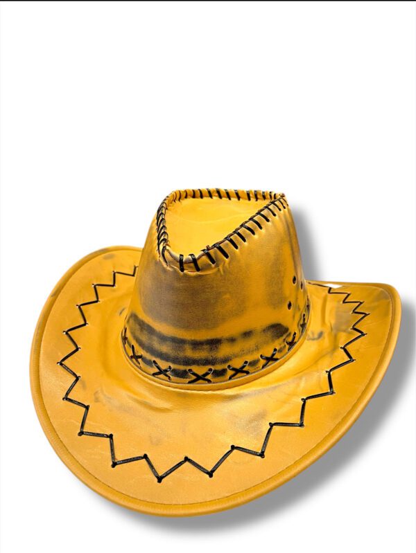 COWBOY ESTILO VAQUERO