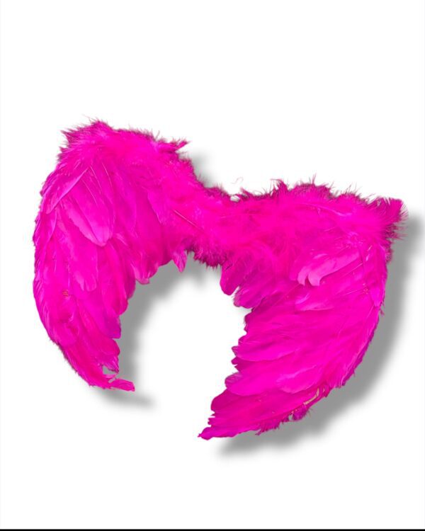 ALAS DE ANGEL - Imagen 2