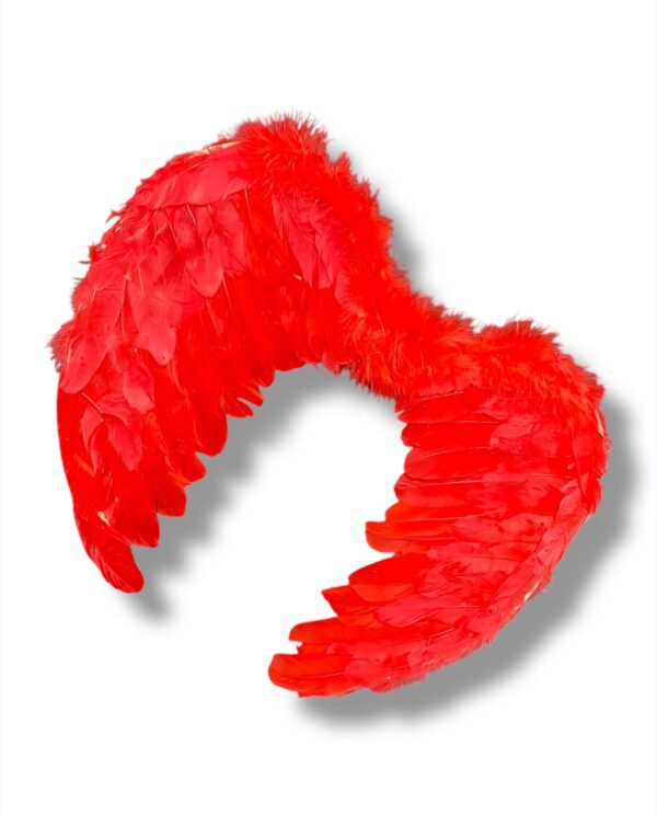 ALAS DE ANGEL - Imagen 3