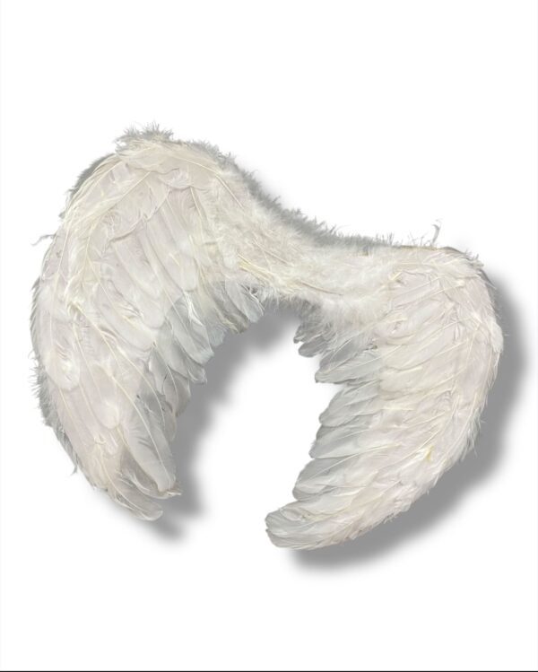 ALAS DE ANGEL - Imagen 4