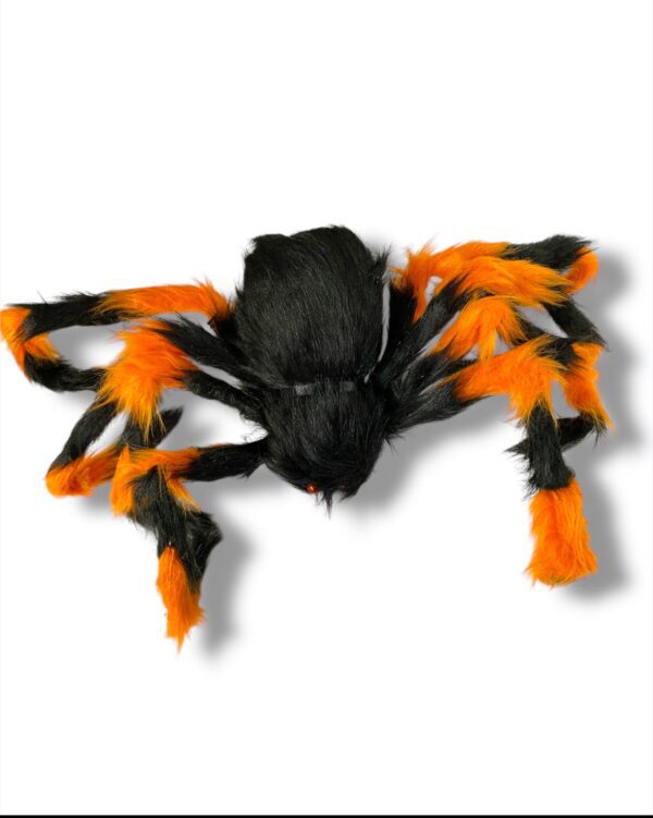 ARAÑA GRANDE - Imagen 2