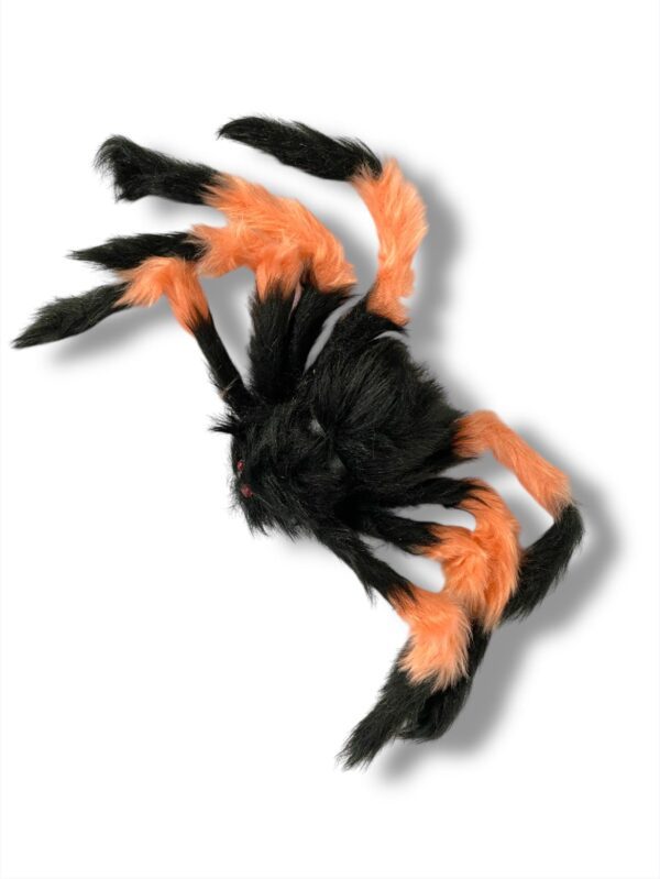 ARAÑA GRANDE