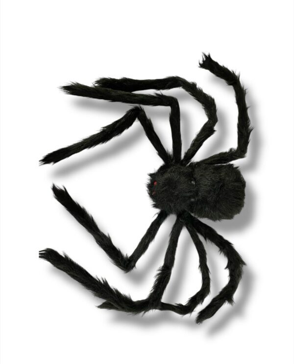 ARAÑA GRANDE - Imagen 3