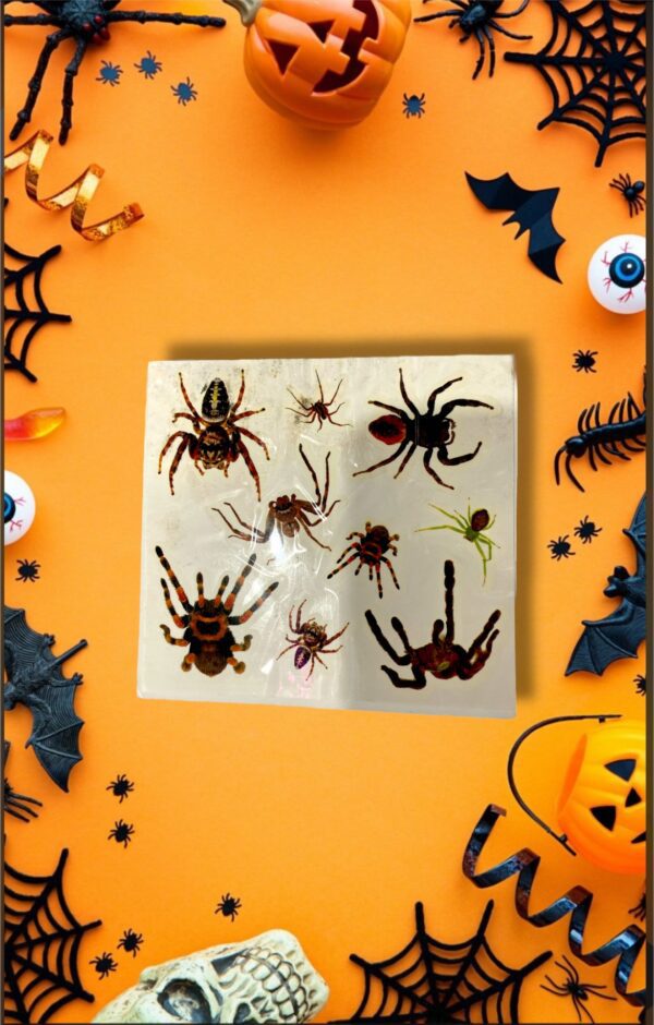 HALLOWEEN STICKERS DE ARAÑAS