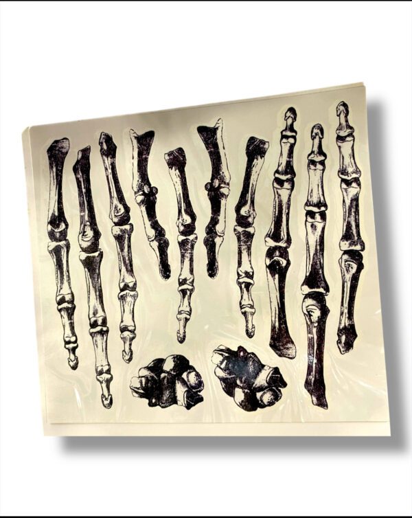 STICKERS HUESO CALAVERA