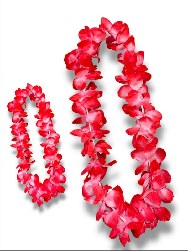FLOR GRANDE - Imagen 4