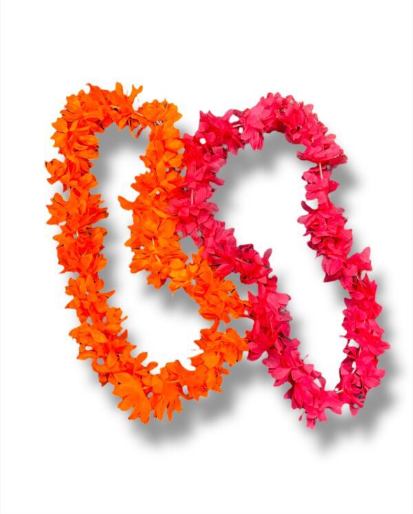 FLOR GRANDE - Imagen 8