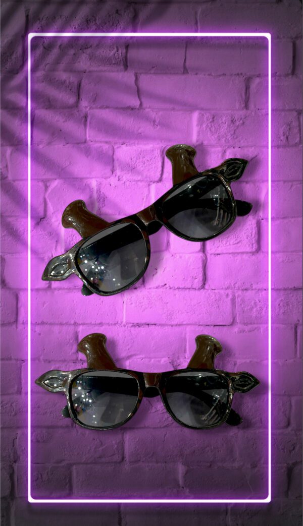 LENTES DE OREJAS