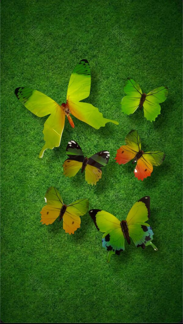 MARIPOSAS CON DISEÑO