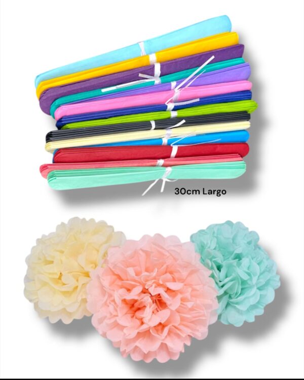 PAPEL COMUN 30cm LARGO