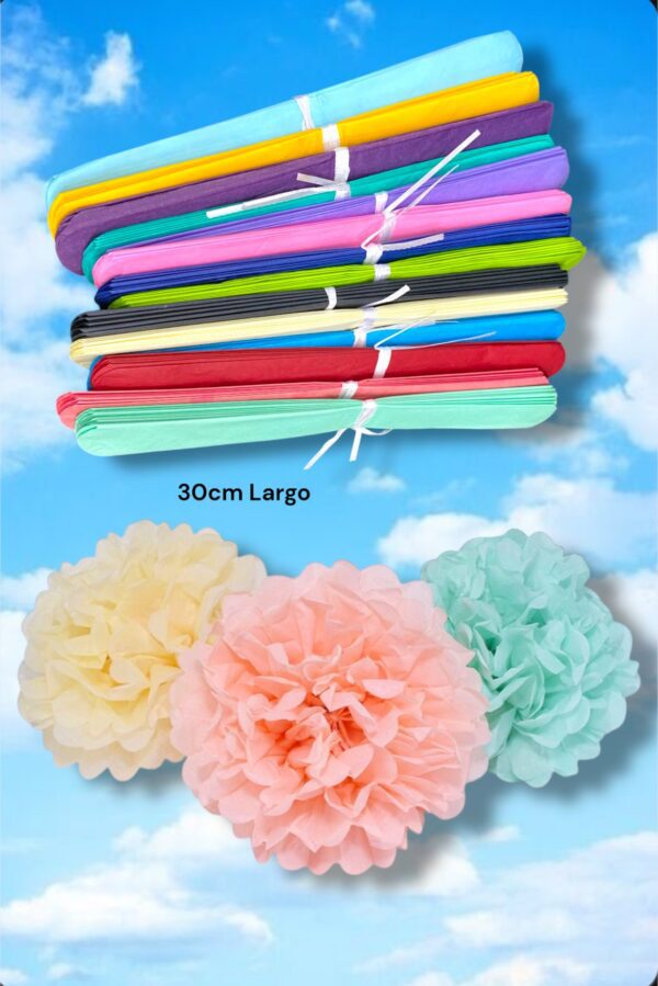 POMPONES PAPEL COMUN 30cm LARGO