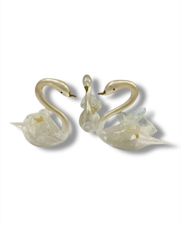 MINI CISNES