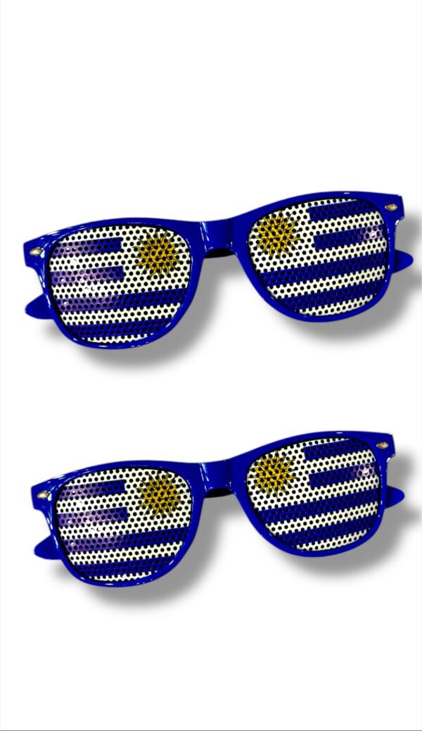 LENTES - REDONDO DE RED