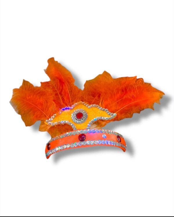 CARNAVAL CON PLUMA