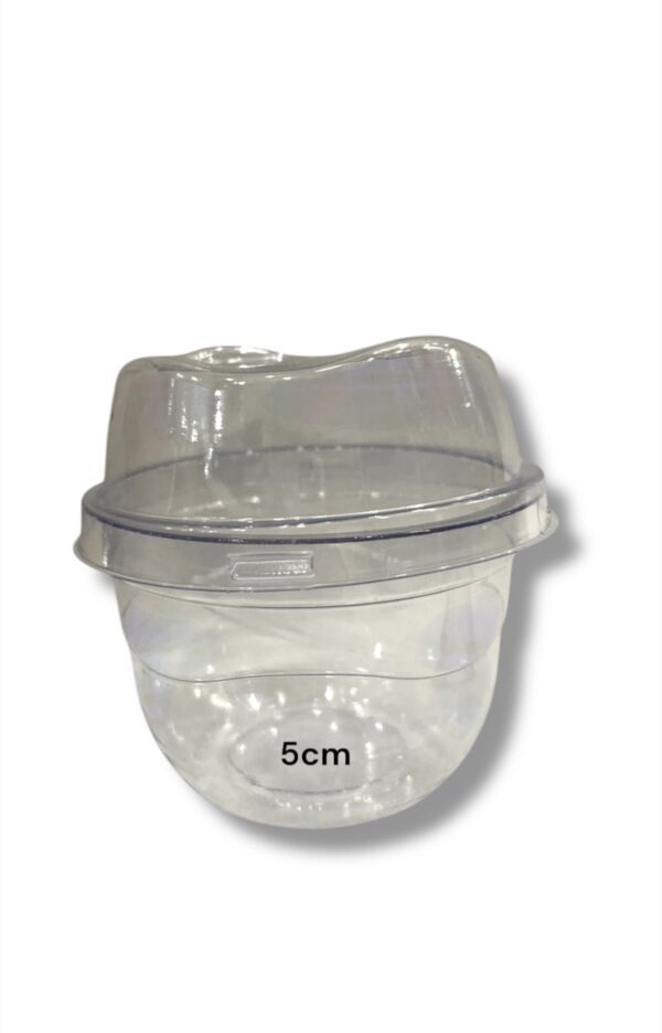 RECIPIENTE 5cm