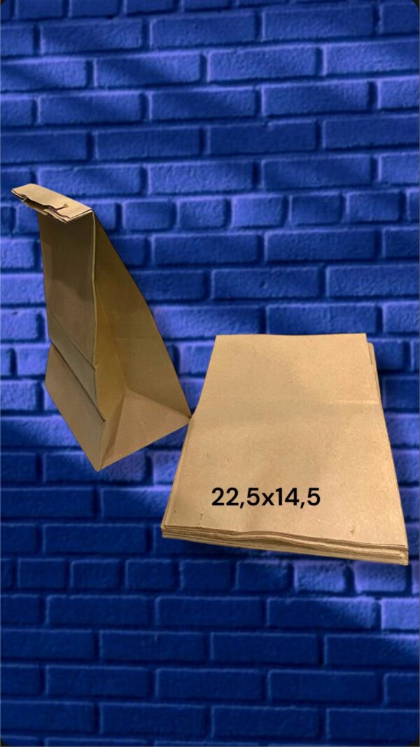 BOLSA DE PAPEL - TIPO CRAFT 22,5x14,5