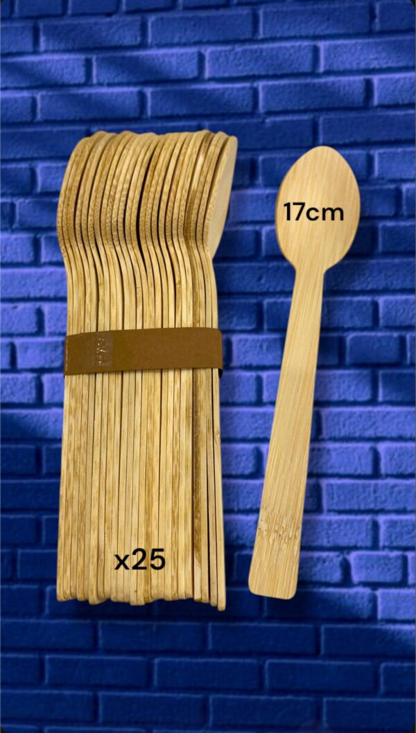 CUCHARA DESCARTABLE - x25 DE 17cm