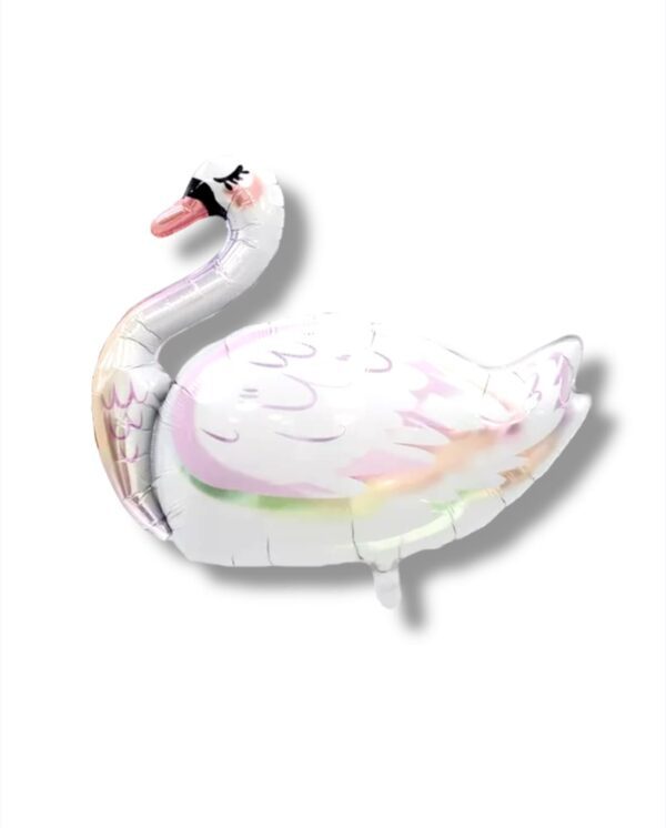 CISNE