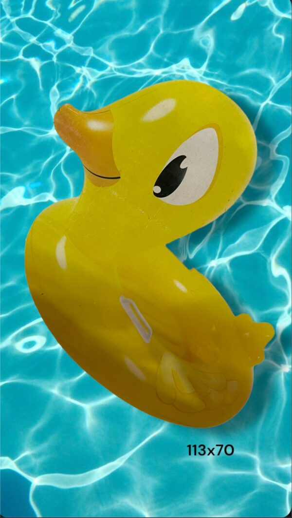 INFLABLES PATO