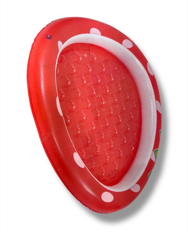 PISCINA PLANA 95x91